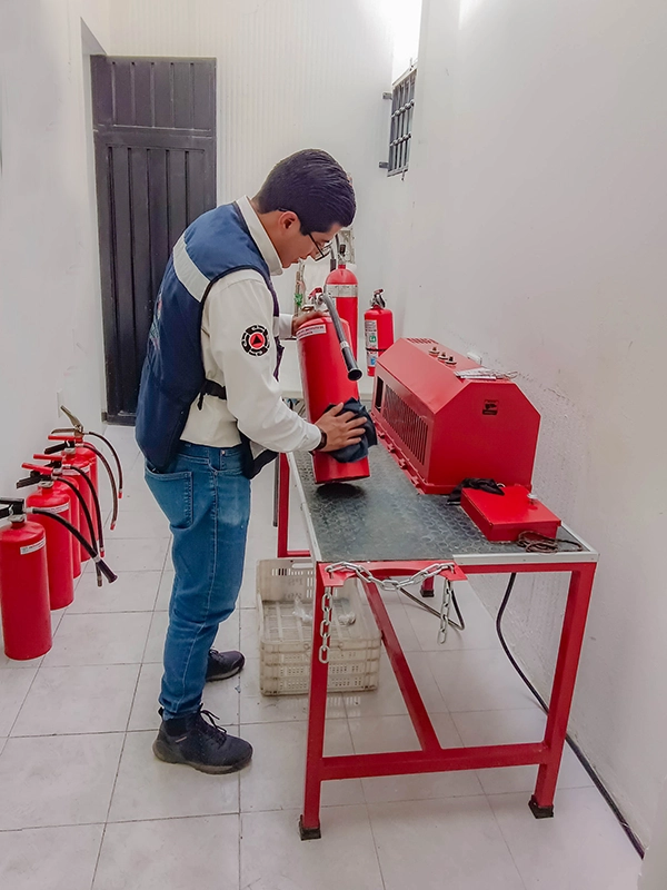 Imagen 2 del desarrollo