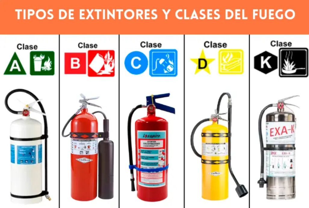 Imagen 3 del desarrollo