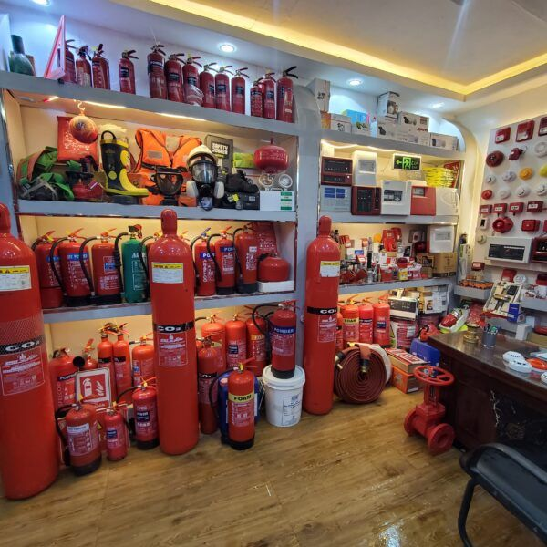 Imagen 2 del desarrollo