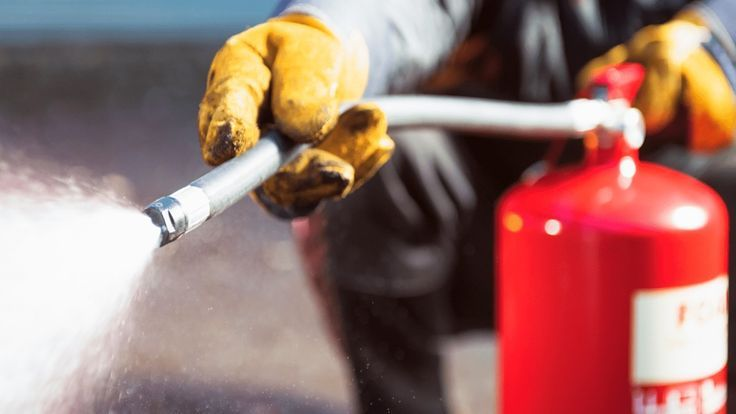 Imagen 2 del desarrollo